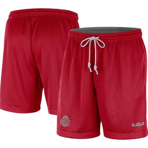 Men's NIKE X LEBRON JAMES Shorts .